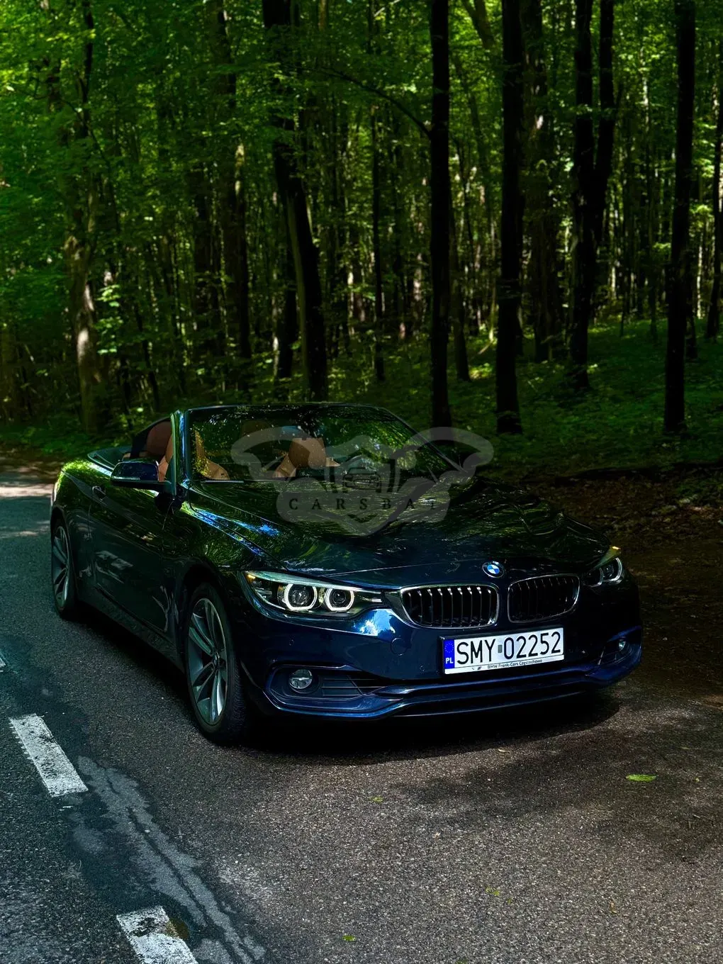 BMW 4 Series I F32/F33/F82 2019