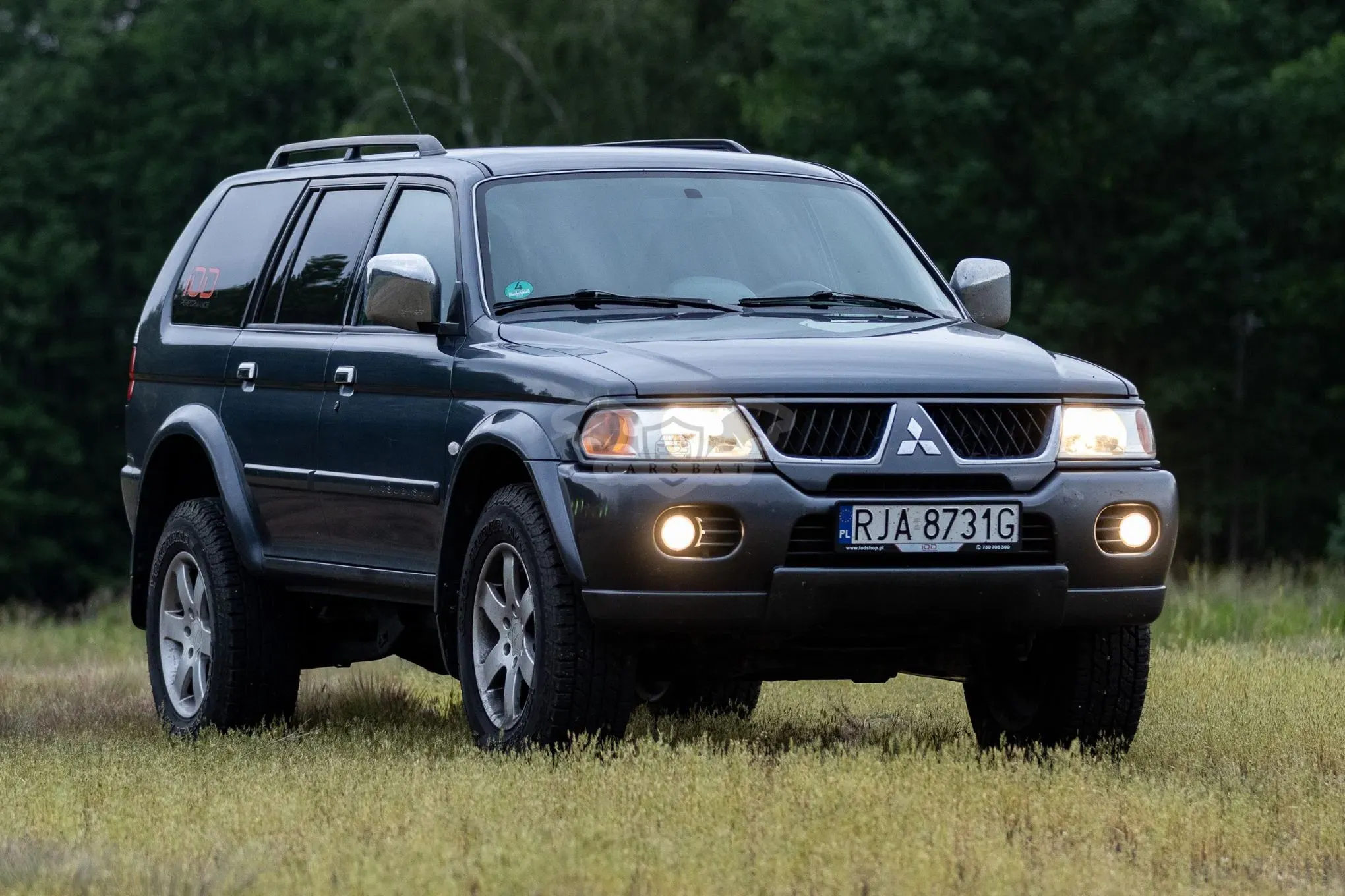 Mitsubishi Pajero Sport I 2004