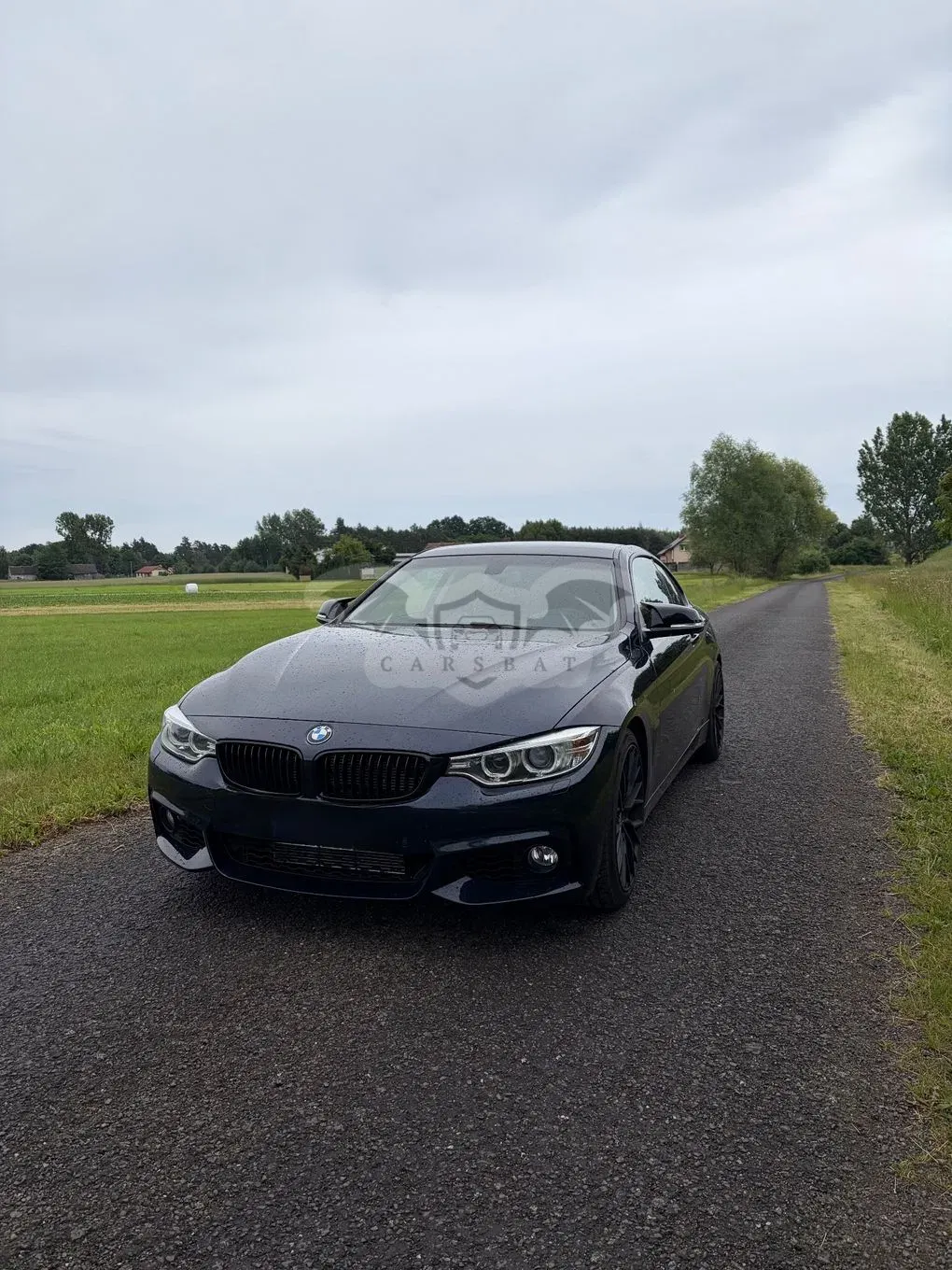 BMW 4 Series I F32/F33/F82 420i Sport-Aut Sport Line 2016
