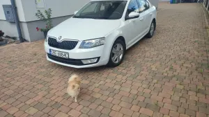 Skoda Octavia III 1.4 TSI Edition 2014