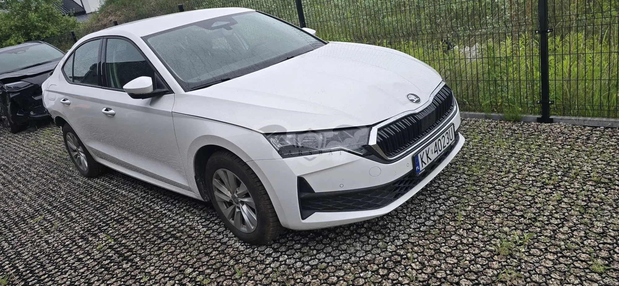 Skoda Octavia IV 2.0 TDI Ambition 2025