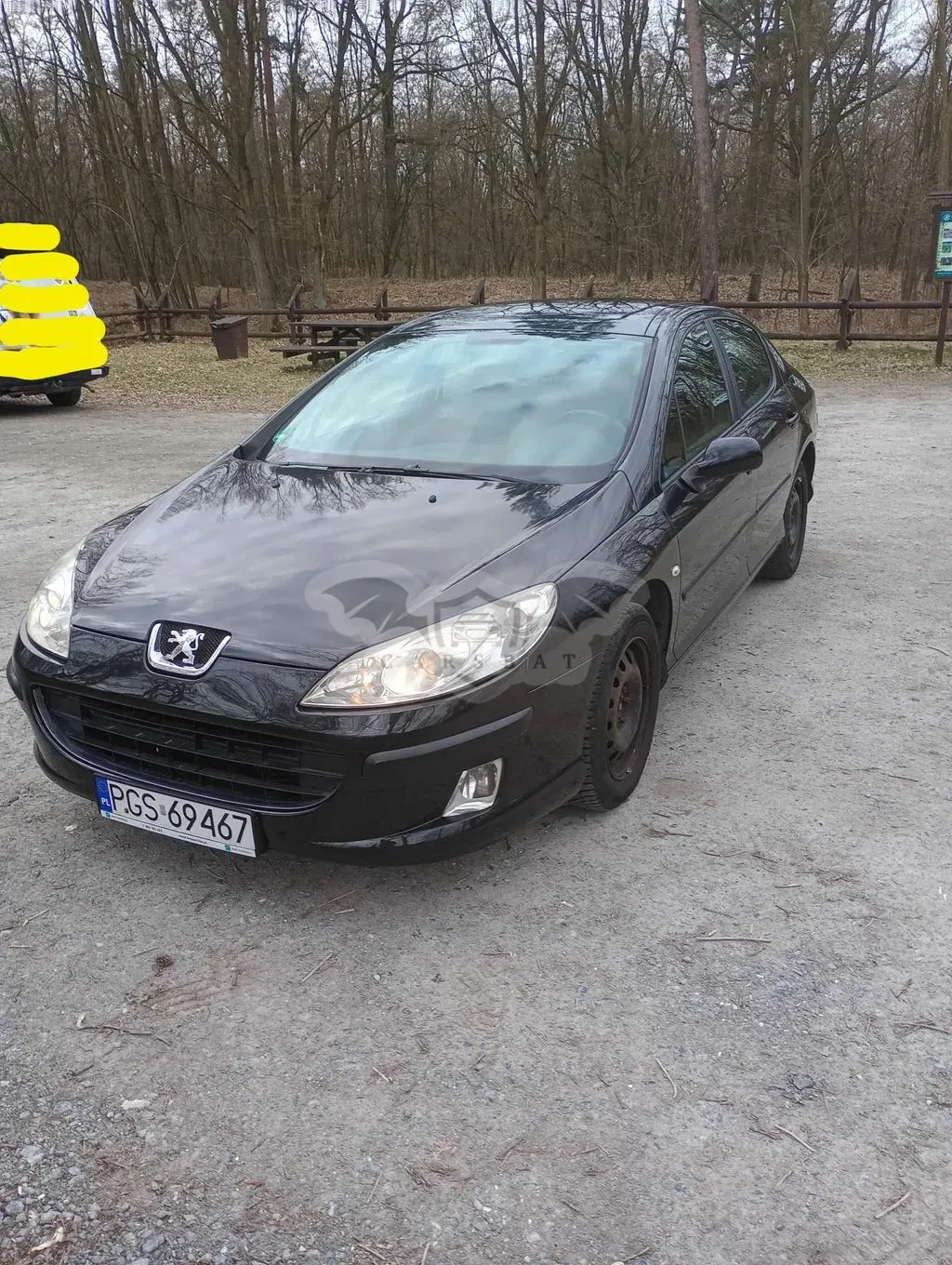 Peugeot 407 125 Tendance 2007
