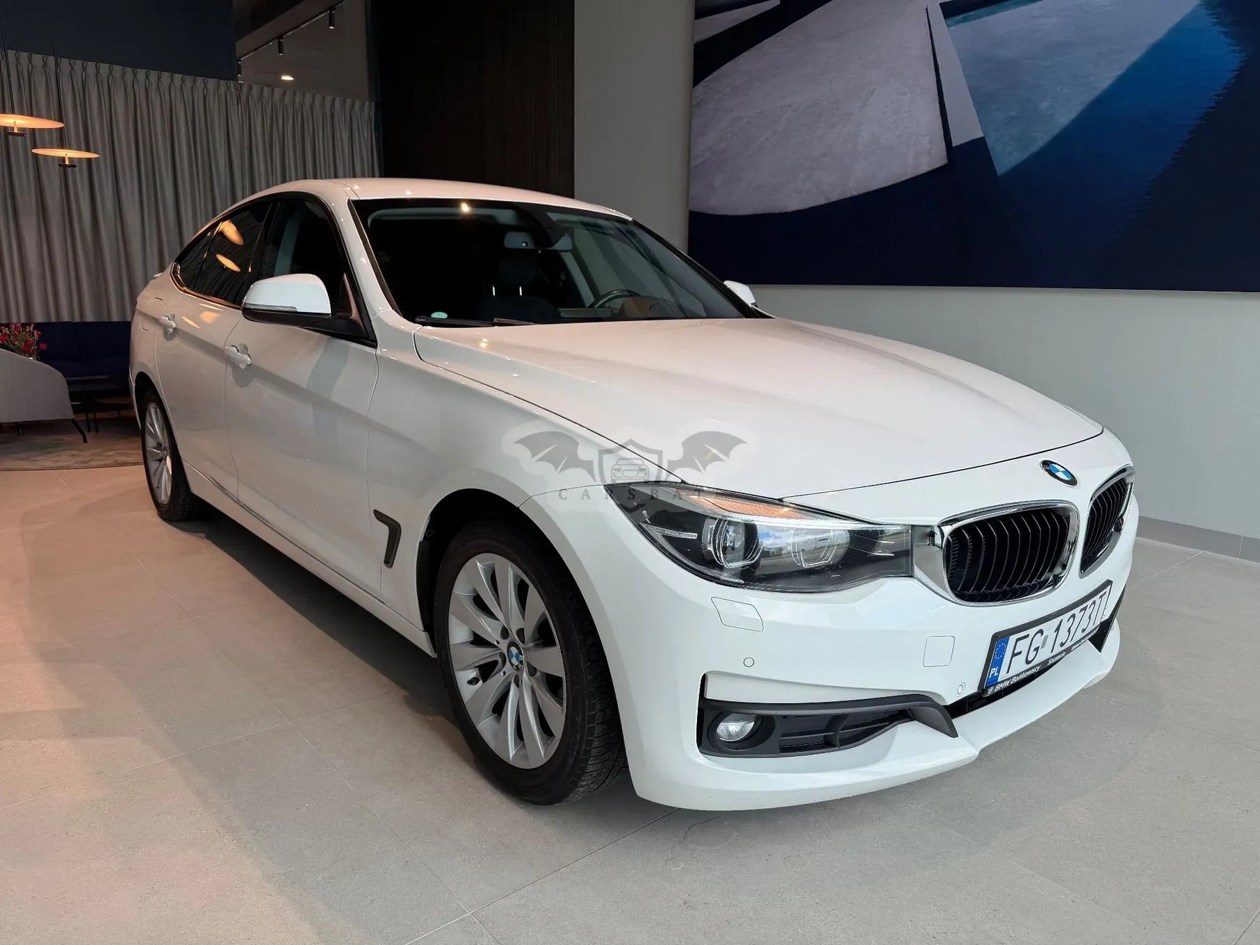 BMW 3 Series F34 318d 2019