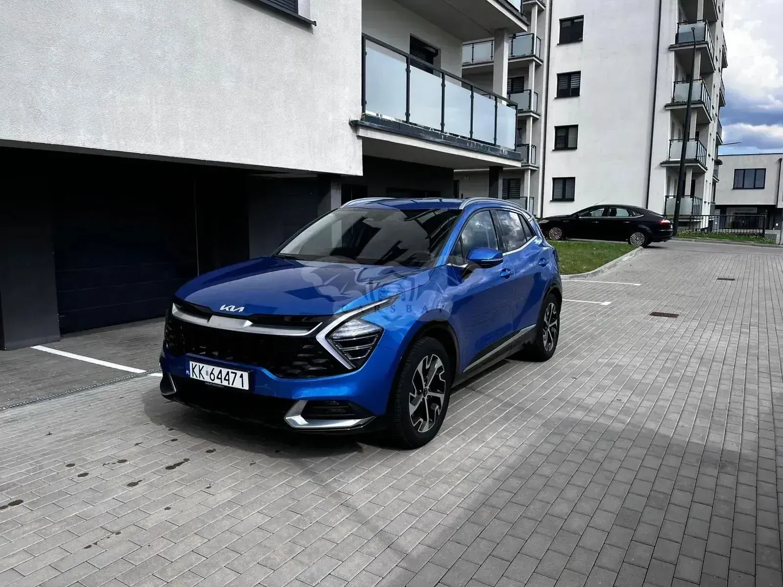 Kia Sportage V 1.6 T-GDI Business Line 2WD 2022