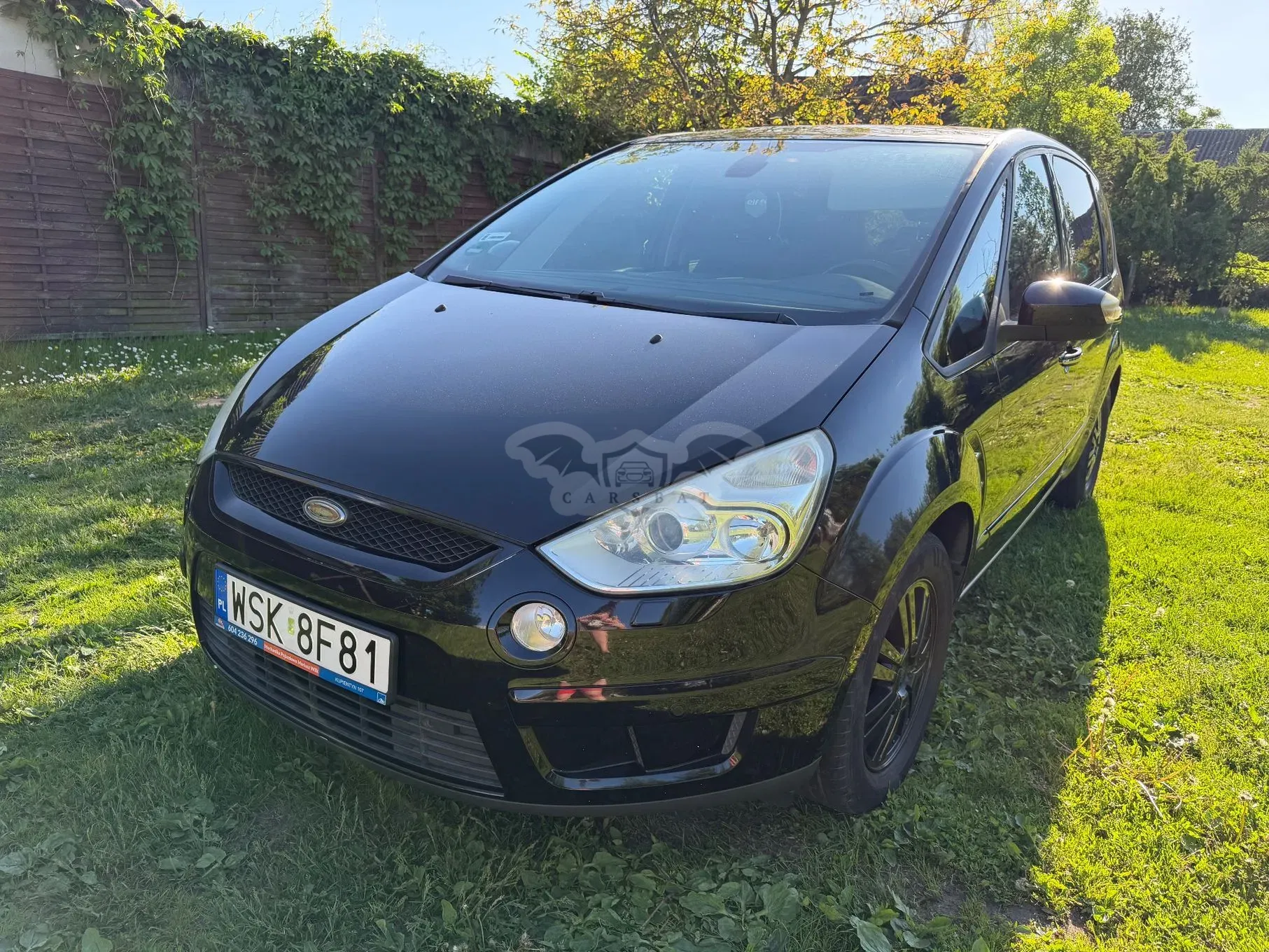Ford S-Max I 2.0 Titanium 2008