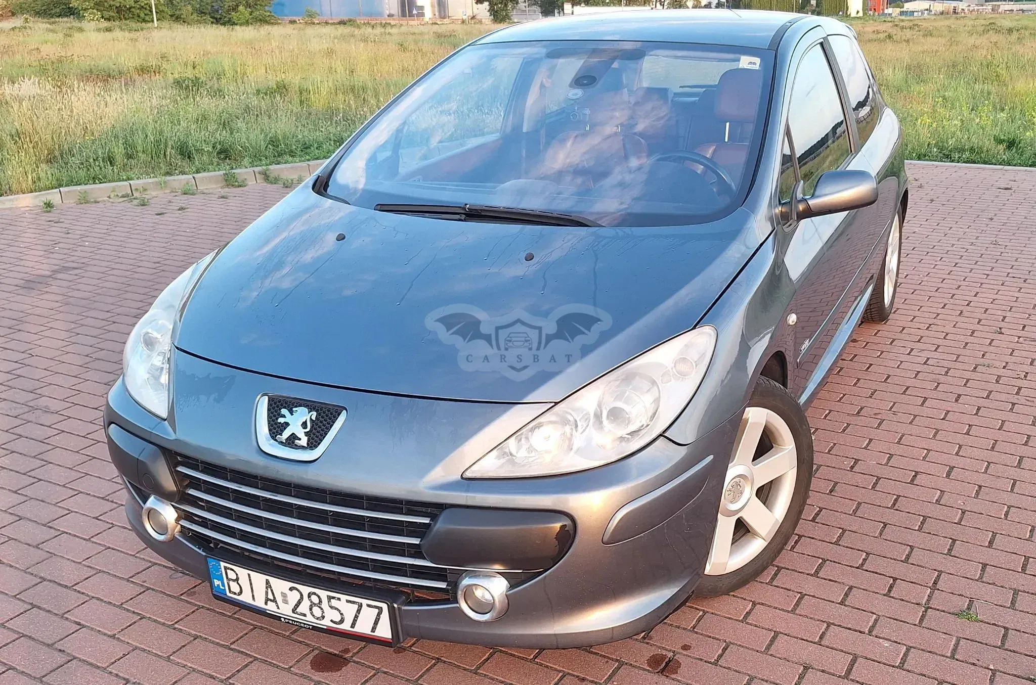 Peugeot 307 I 2.0 Sporty 2005