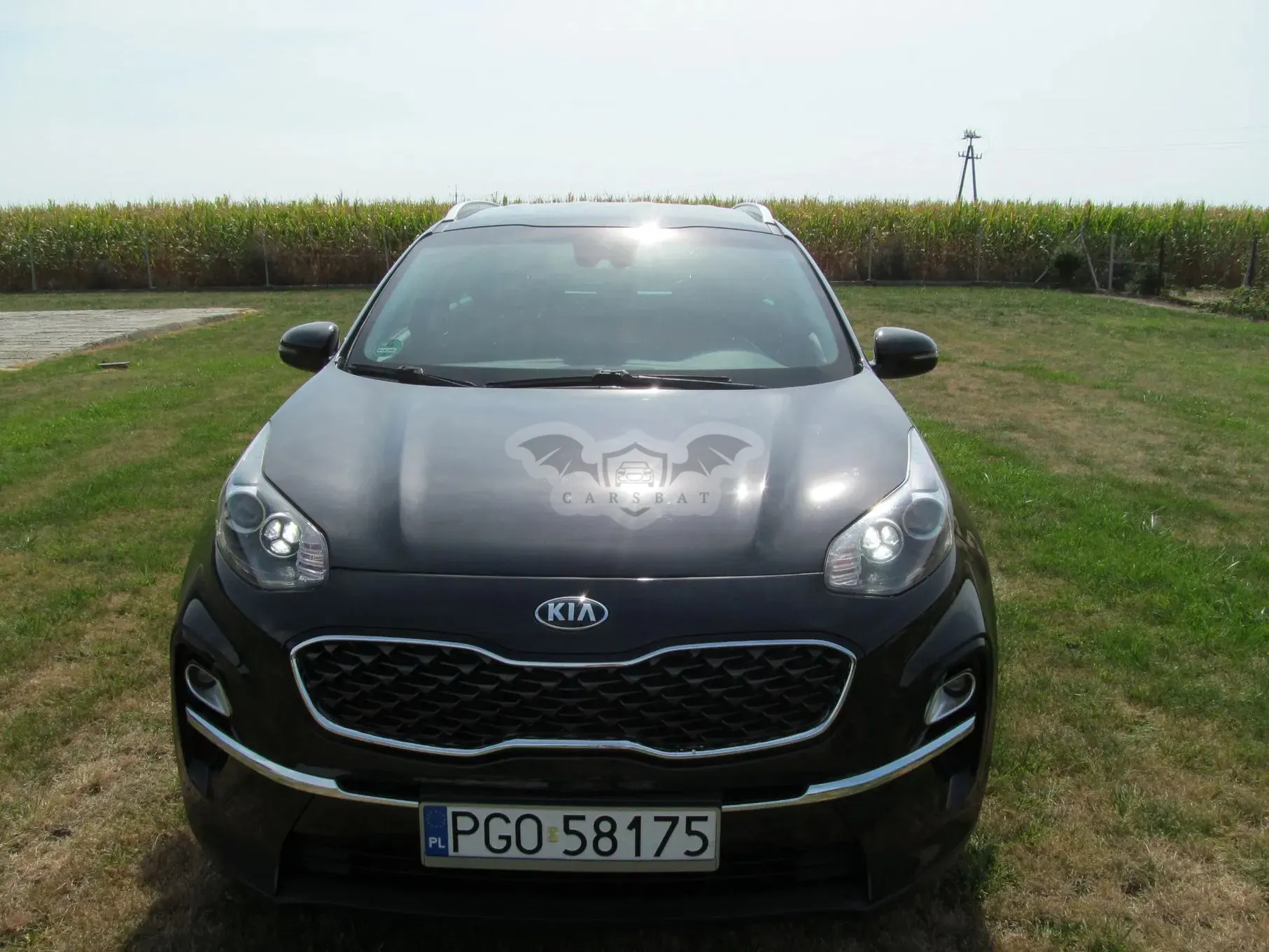 Kia Sportage IV 2019
