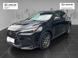 Lexus NX II 2022