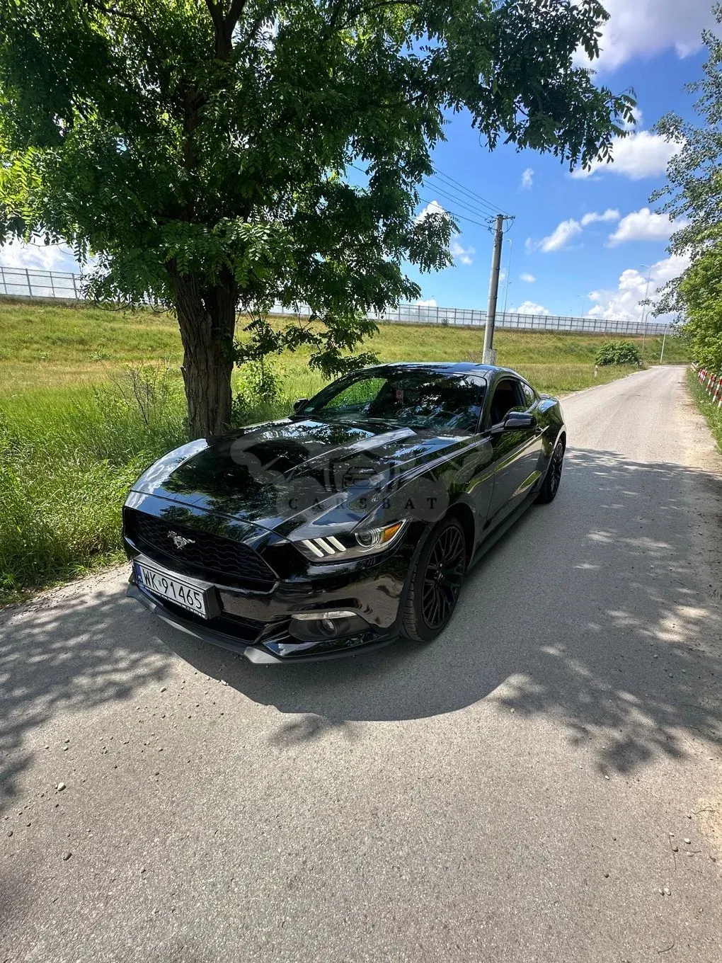 Ford Mustang 2015