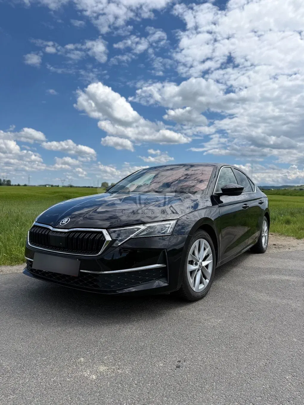 Skoda Octavia IV 2.0 TDI Ambition DSG 2024