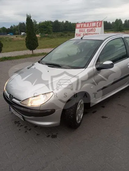 Peugeot 206 75 Grand Filou 2000