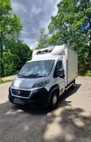 Fiat Ducato 2019