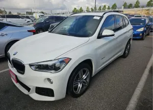 BMW X1 F48 xDrive25i M Sport sport 2017