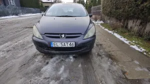 Peugeot 307 I 1.6 2002