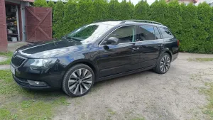 Skoda Superb II 2.0 TDI Active DSG 2014