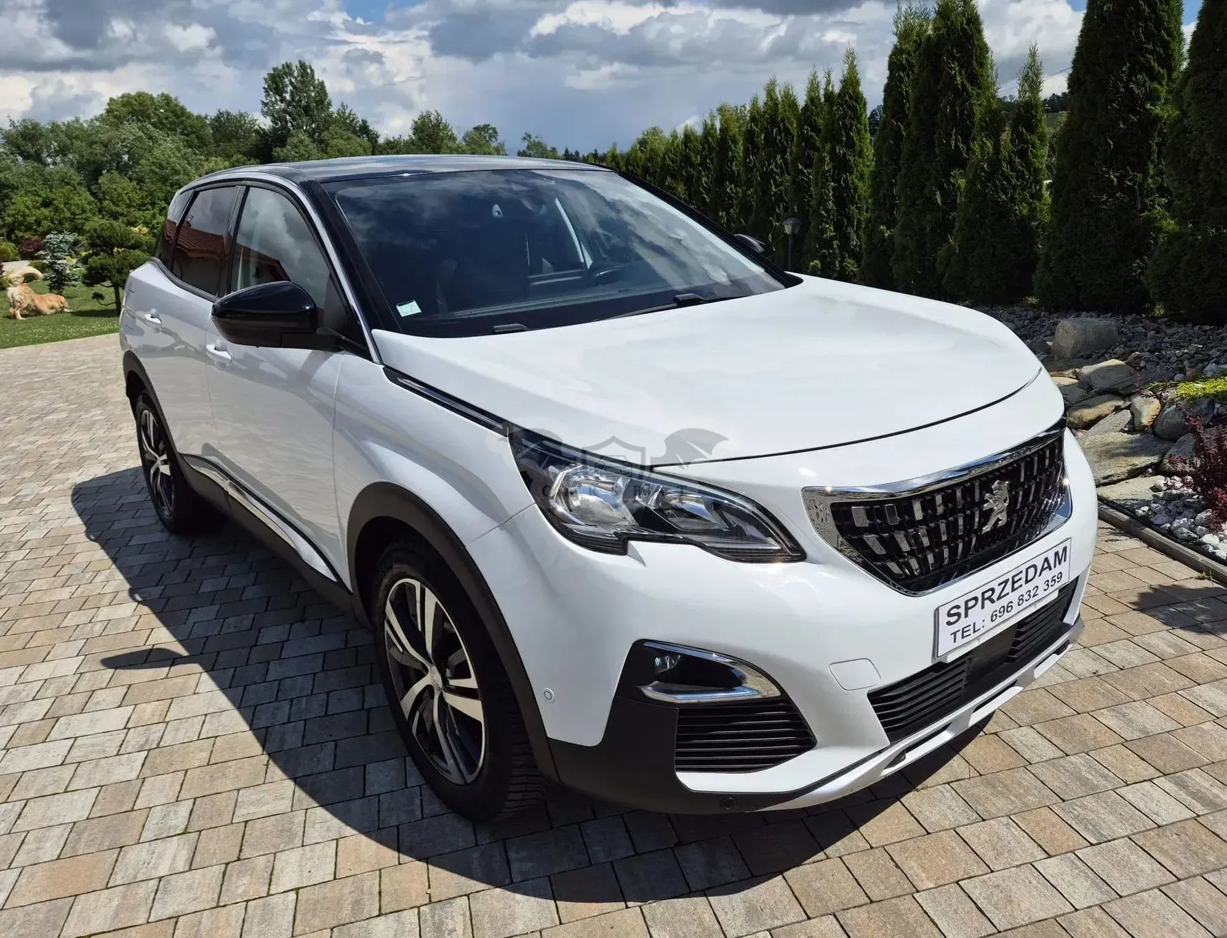 Peugeot 3008 II PureTech 130 Stop & Start GPF EAT8 Active Business-Paket 2017