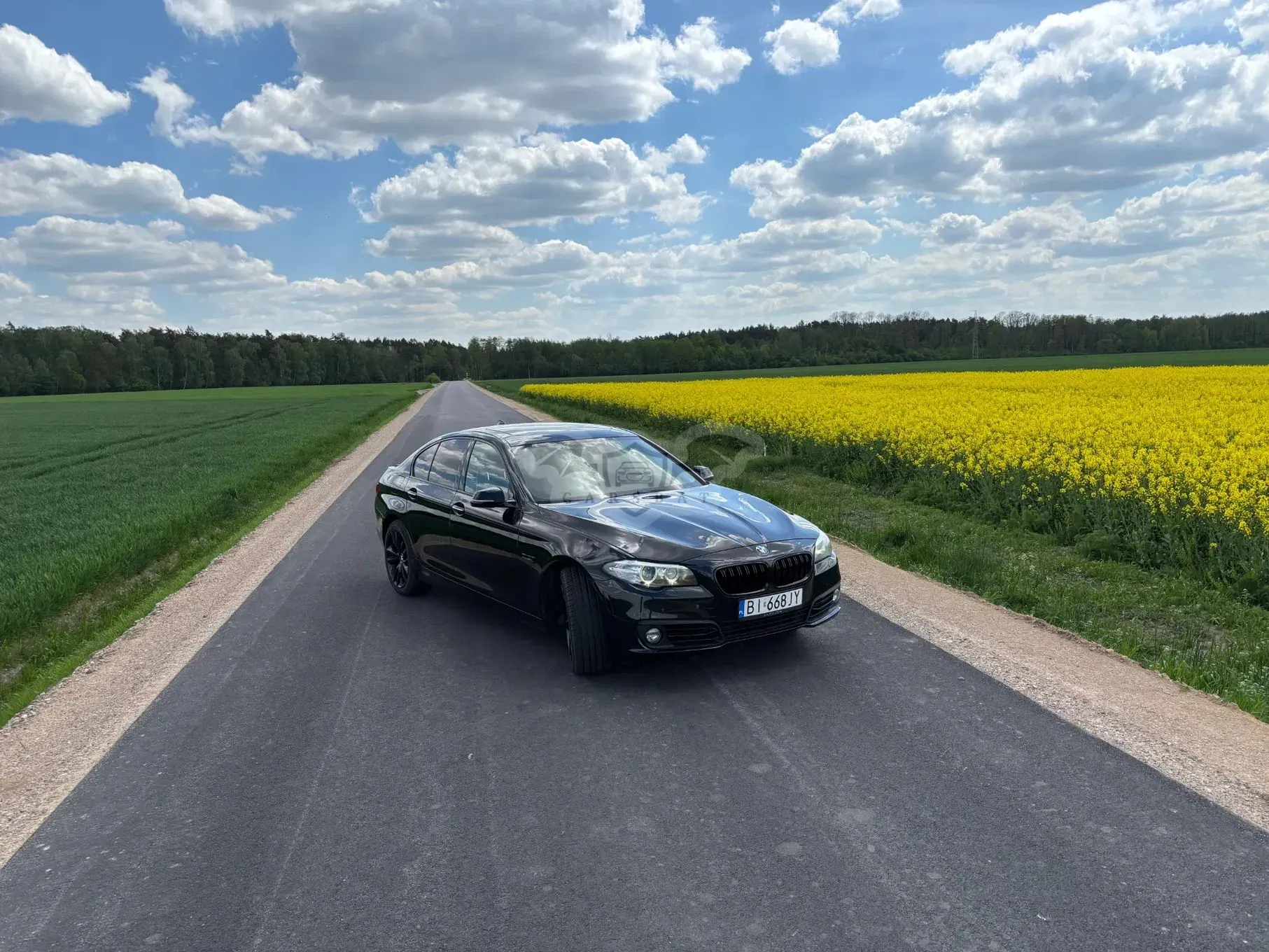 BMW 5 Series F10/F11 535i 2014