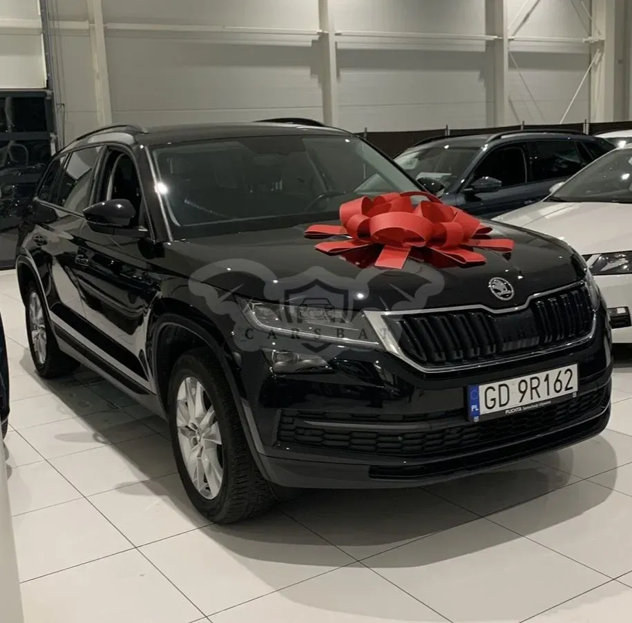 Skoda Kodiaq I 2.0 TSI 4x4 Business DSG 2019