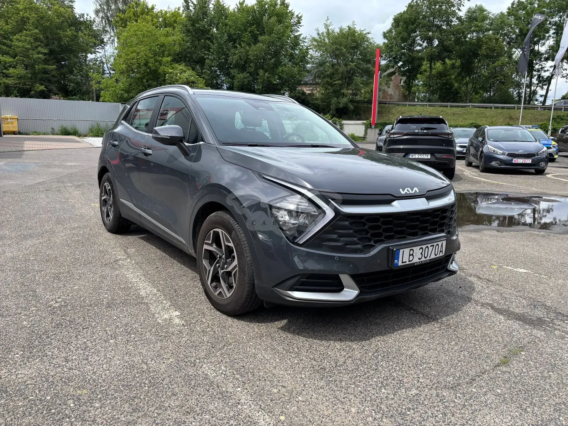 Kia Sportage V 1.6 T-GDI M 2WD 2024