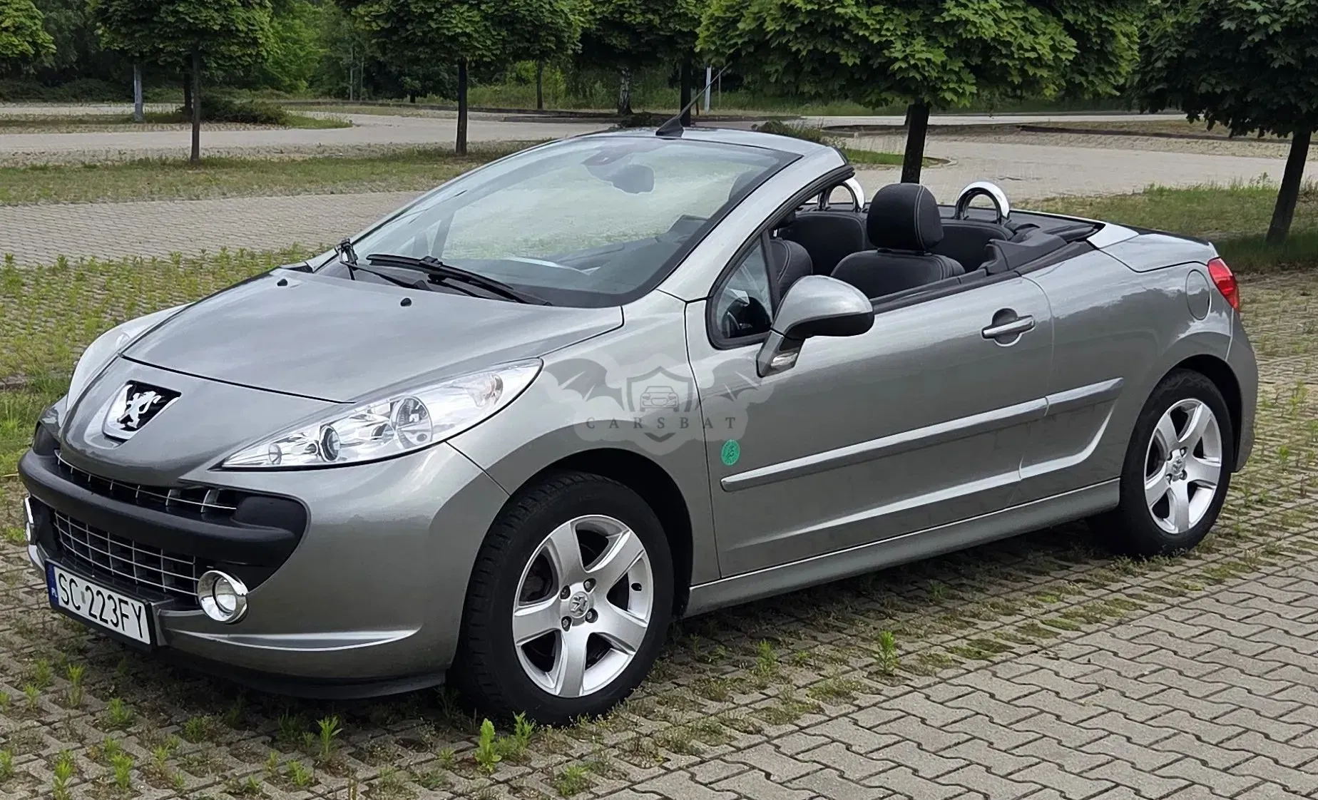 Peugeot 207 2009