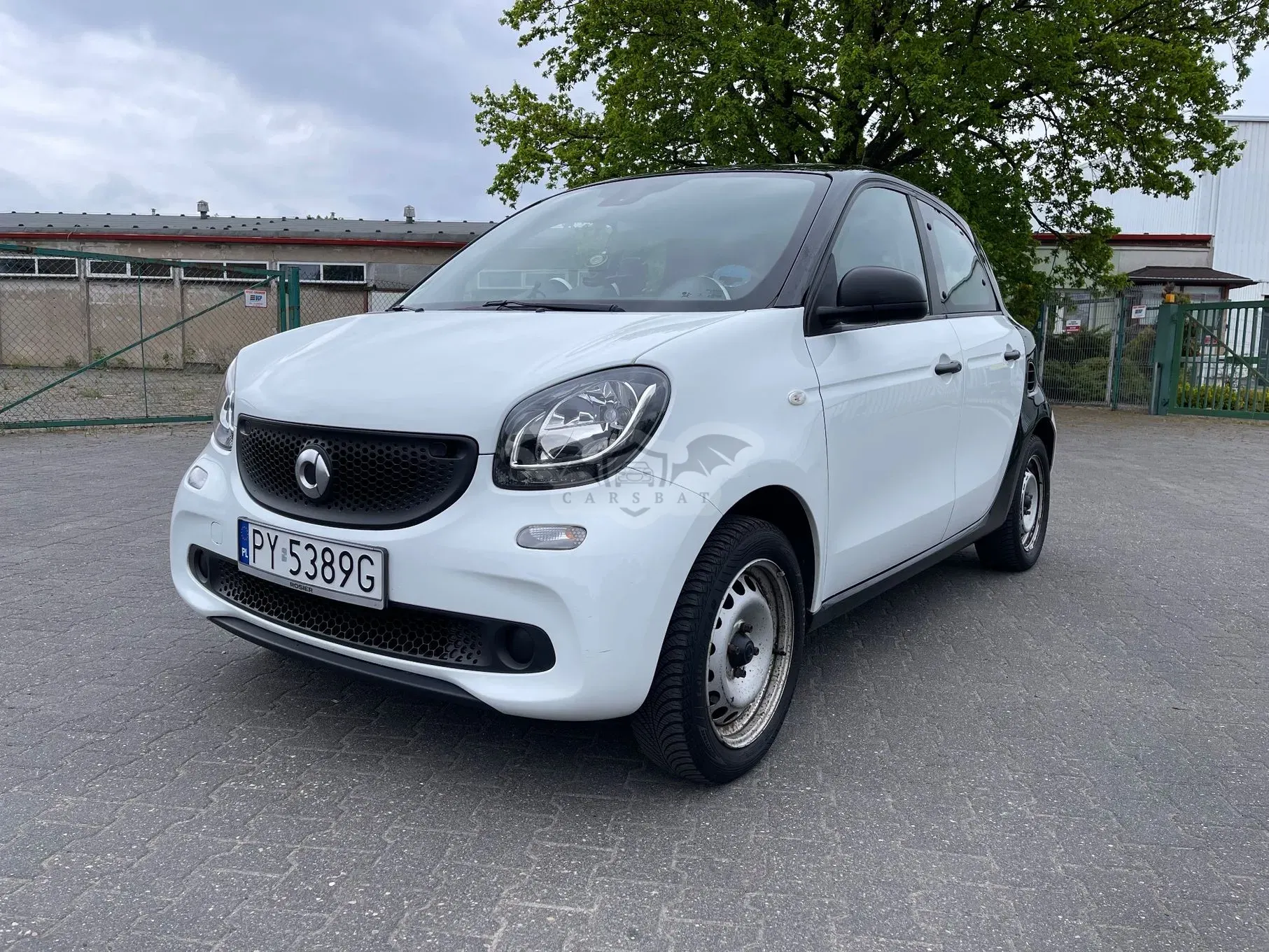 Smart Forfour II prime 2017