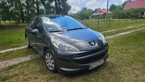 Peugeot 207 75 Filou 2009