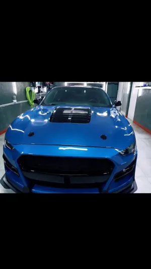 Ford Mustang 5.0 V8 Mach 1 2021