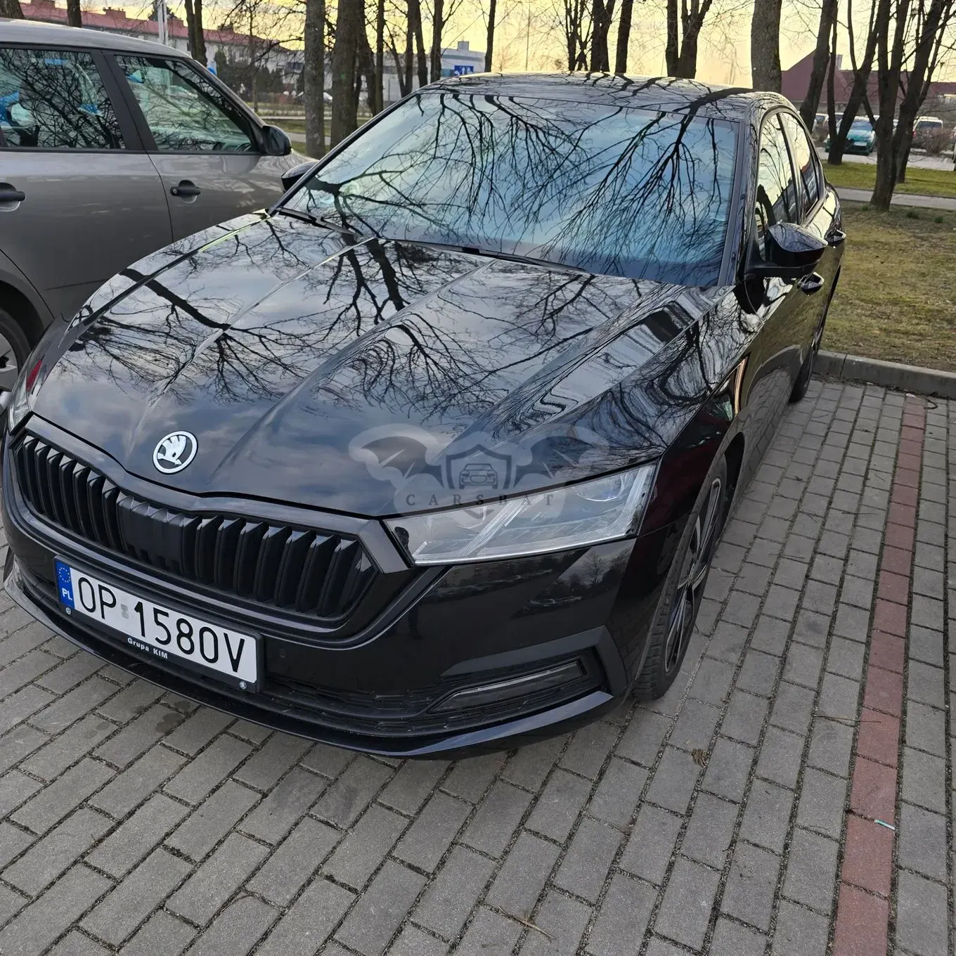 Skoda Octavia IV 1.5 TSI ACT Style 2020