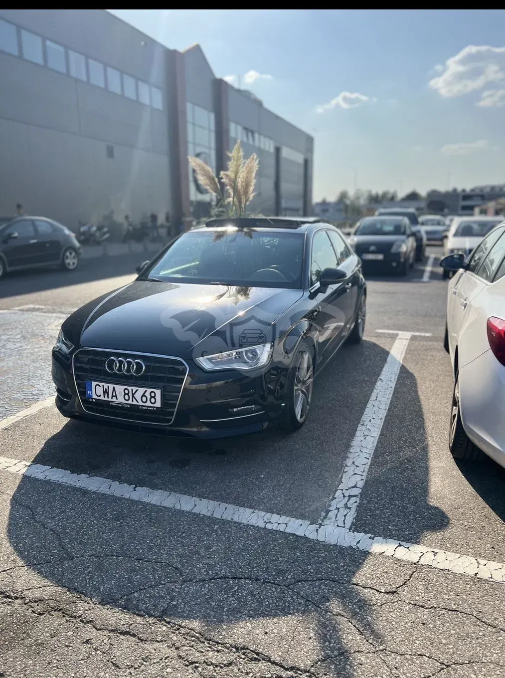 Audi A3 8V 1.9 TDI DPF Ambiente S tronic 2012