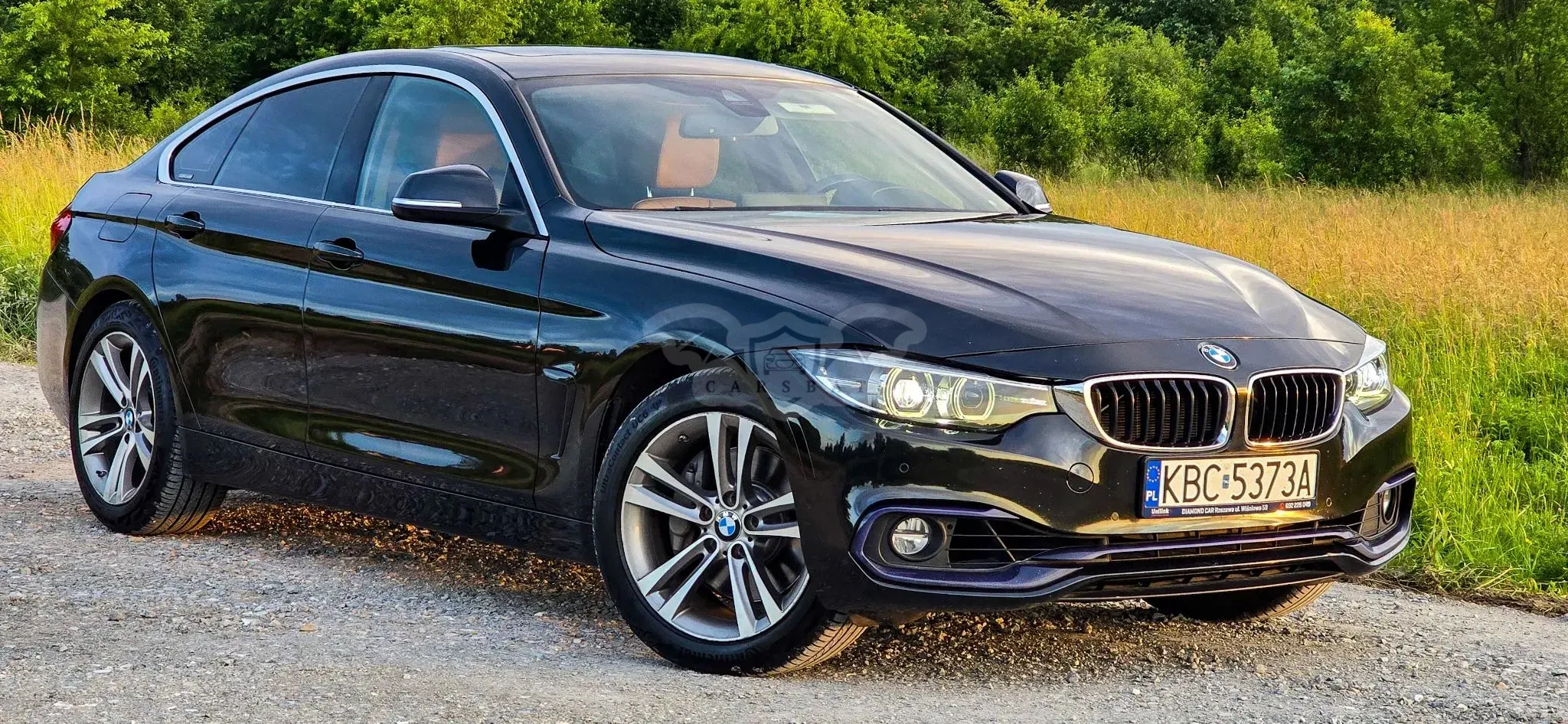 BMW 4 Series I F32/F33/F82 440i GPF xDrive Luxury Line sport 2019