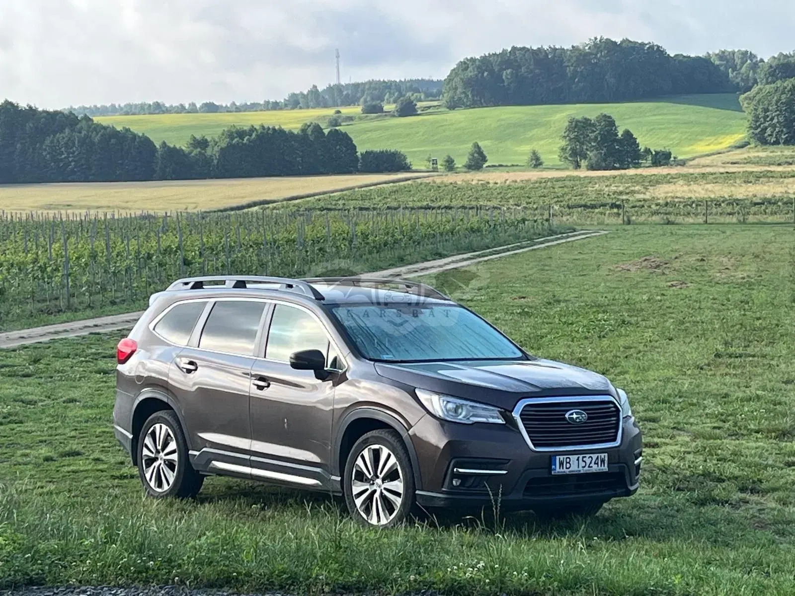 Subaru Ascent 2019
