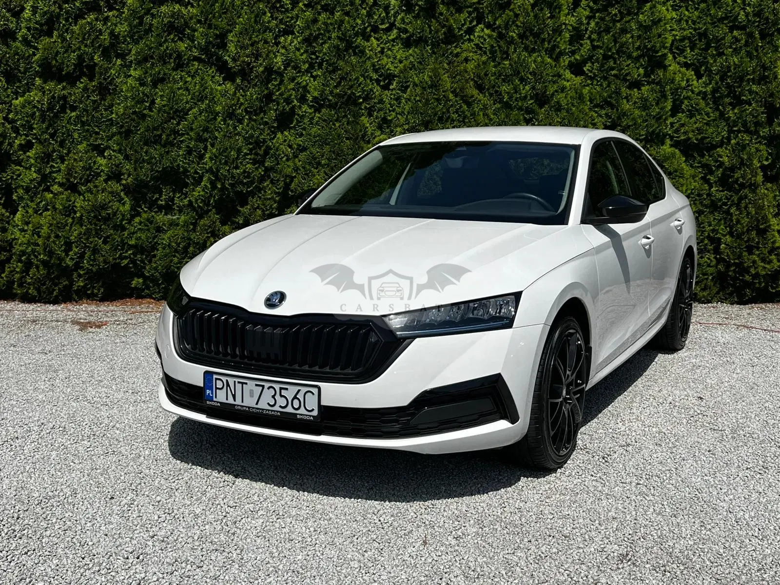 Skoda Octavia IV 2.0 TDI DSG Edition 2023