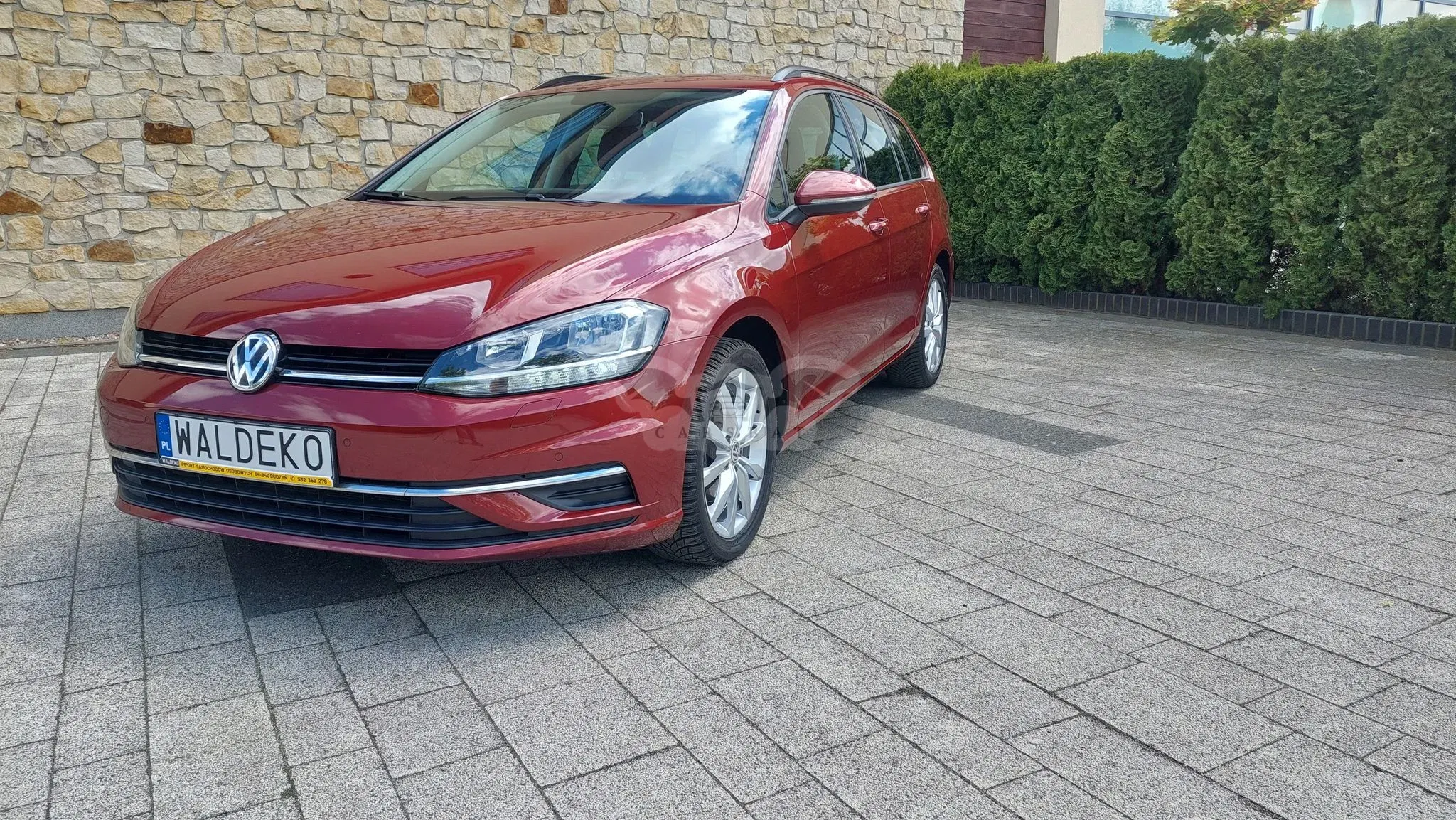 Volkswagen Golf VII 2019