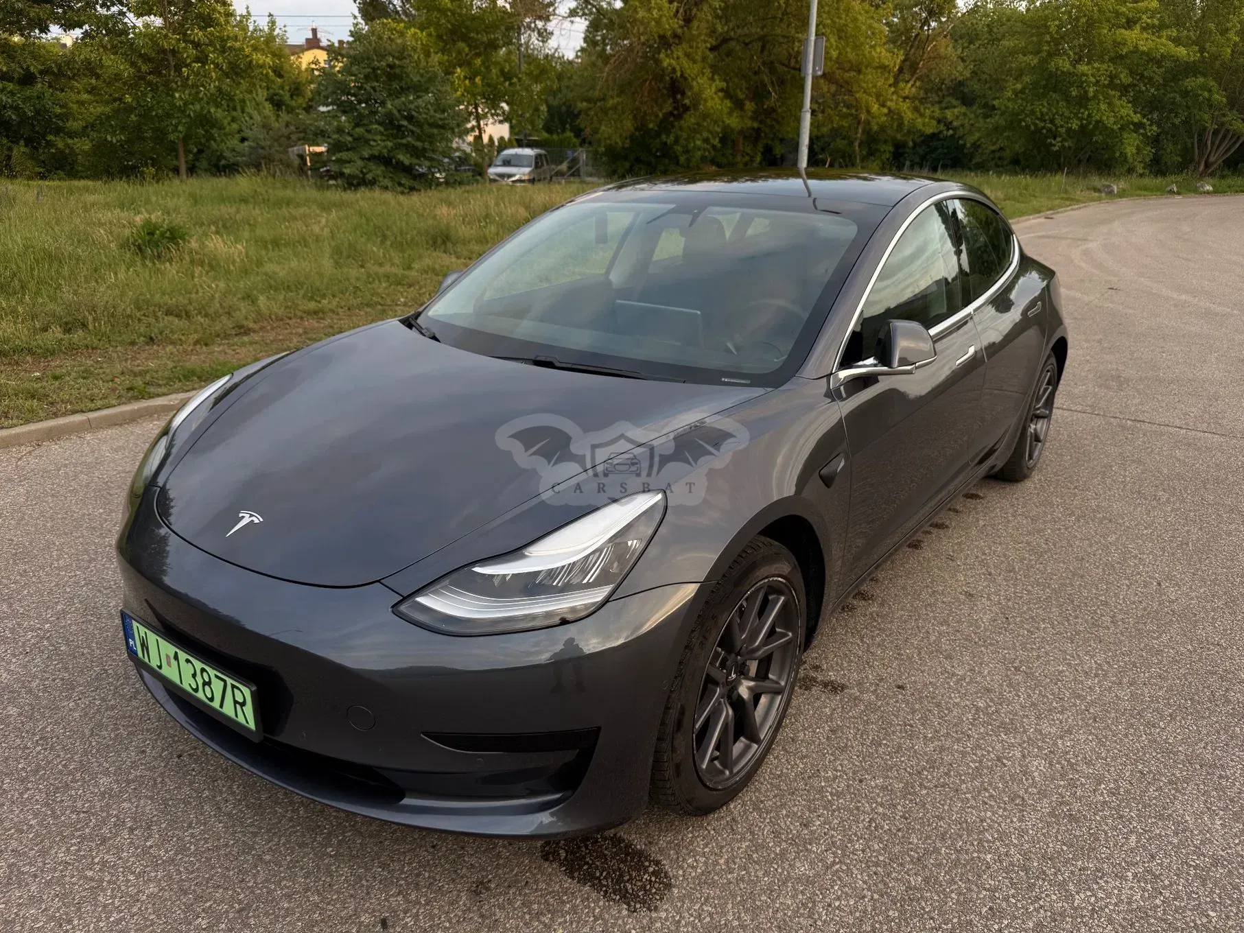 Tesla Model 3 Standard Range Plus 2020