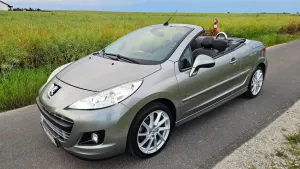 Peugeot 207 155 THP Platinum 2010