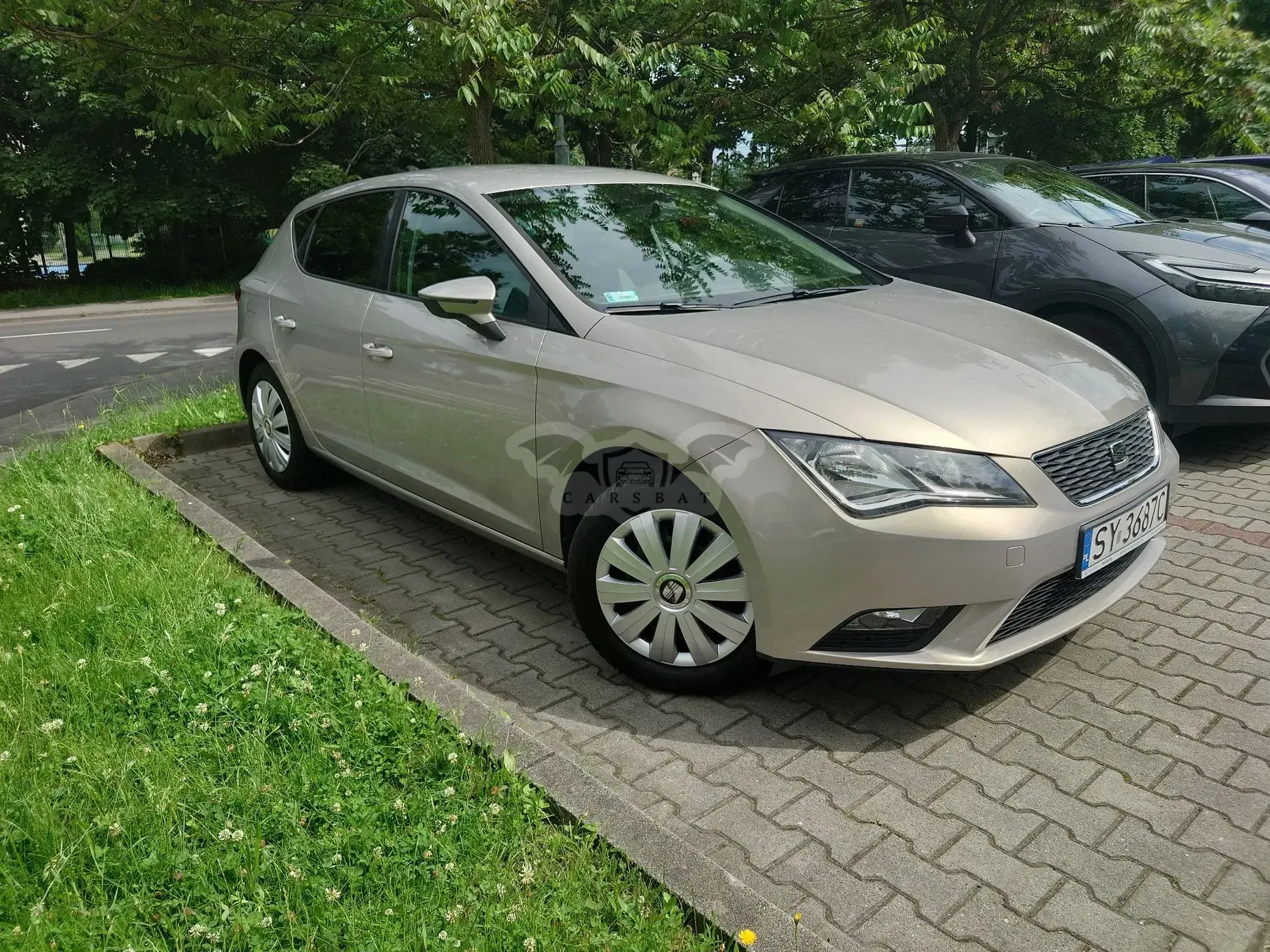 Seat Leon III (2012-) 2013