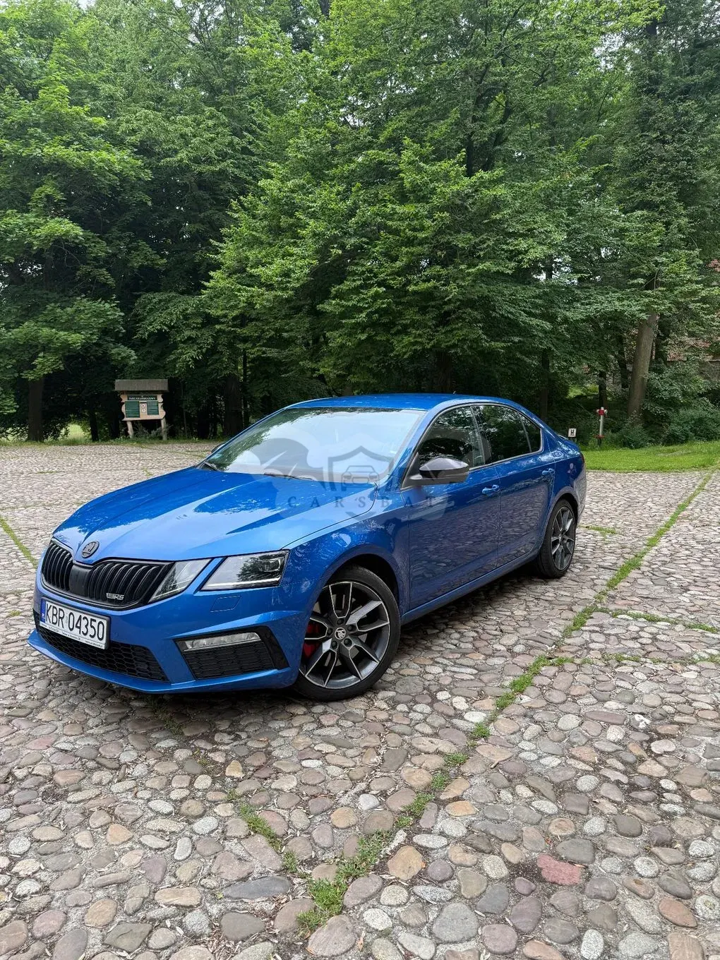 Skoda Octavia III 2.0 TSI GPF RS 245 DSG 2019