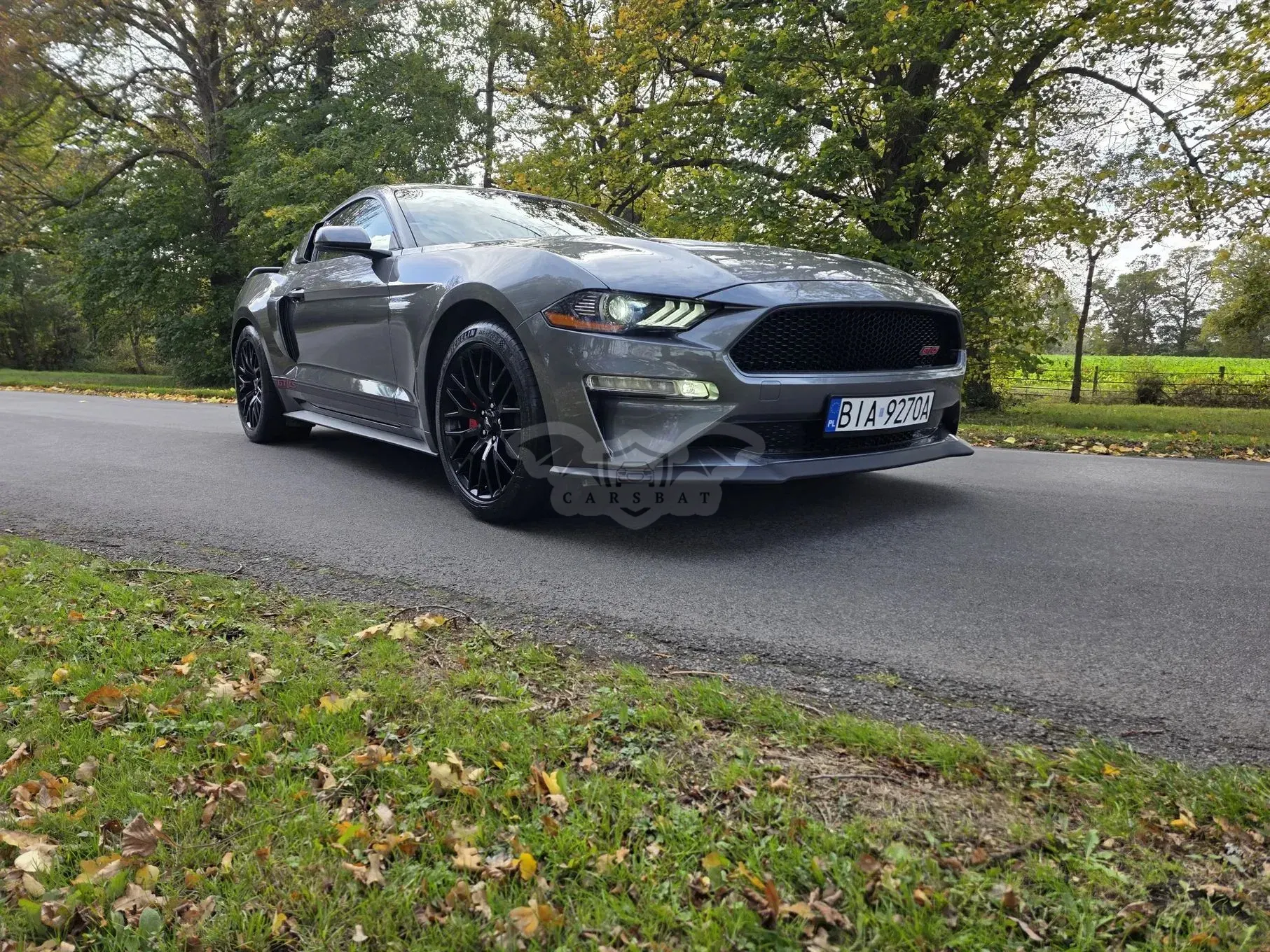 Ford Mustang 5.0 V8 GT 2023