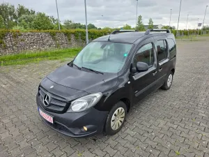 Mercedes-Benz Citan BlueEFFICIENCY lang 2014