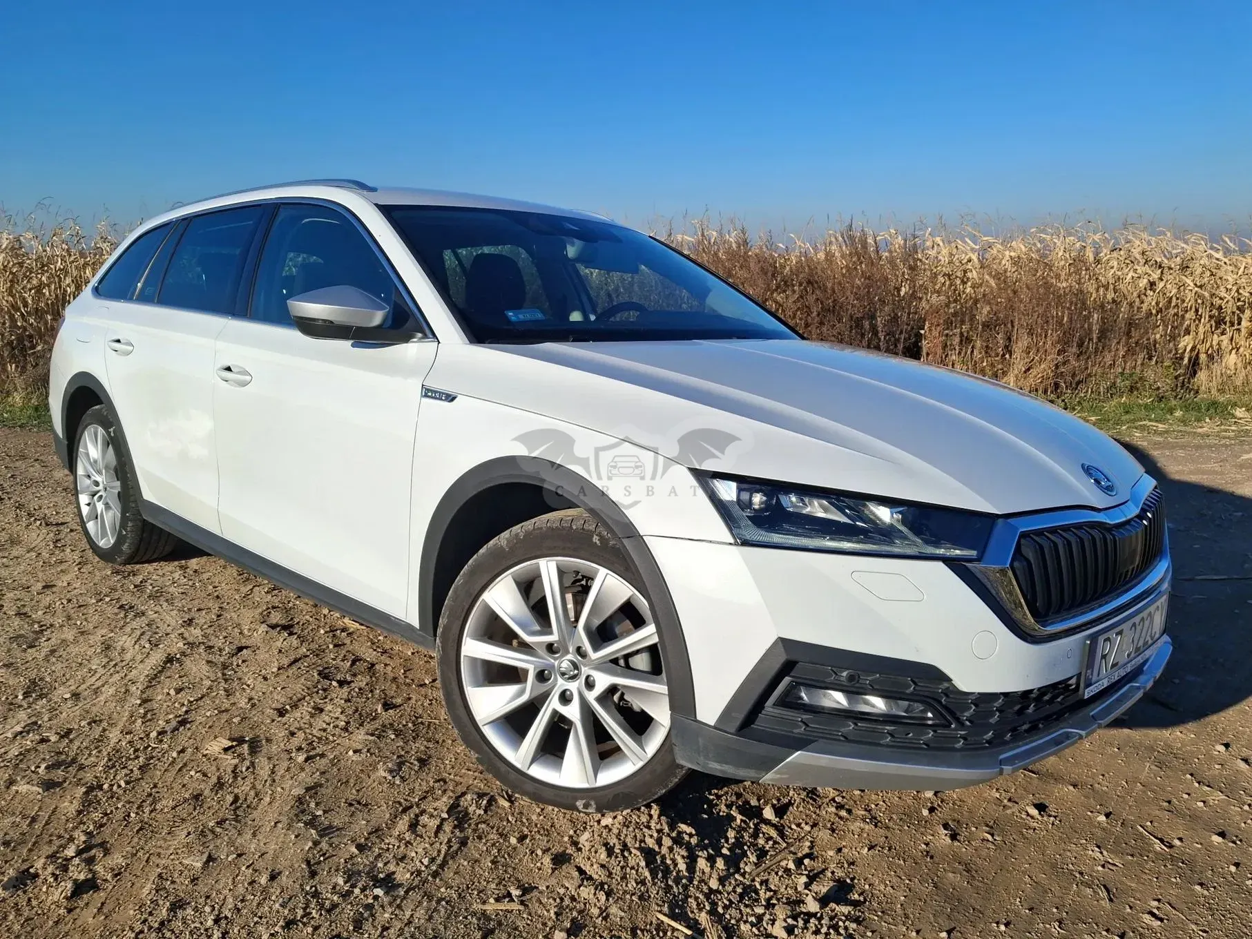 Skoda Octavia IV 2.0 TDI 4x4 Scout DSG 2022