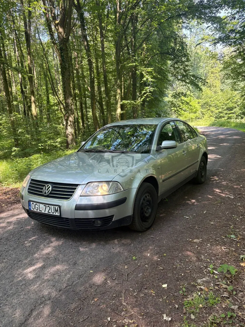 Volkswagen Passat B5 FL 1.9 TDI Comfortline 2002