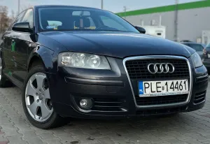 Audi A3 8P 1.9 TDI DPF e 2007