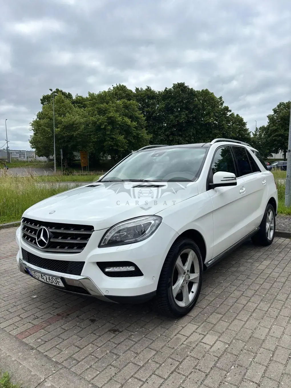 Mercedes-Benz ML W166 250 BlueTEC 4-Matic 2014