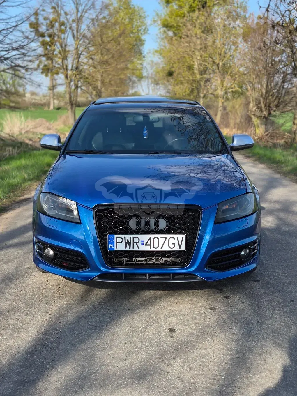 Audi S3 8P 2.0 TFSI Quattro 2010