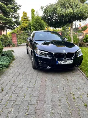 BMW 2 Series 220d M Sport sport 2016
