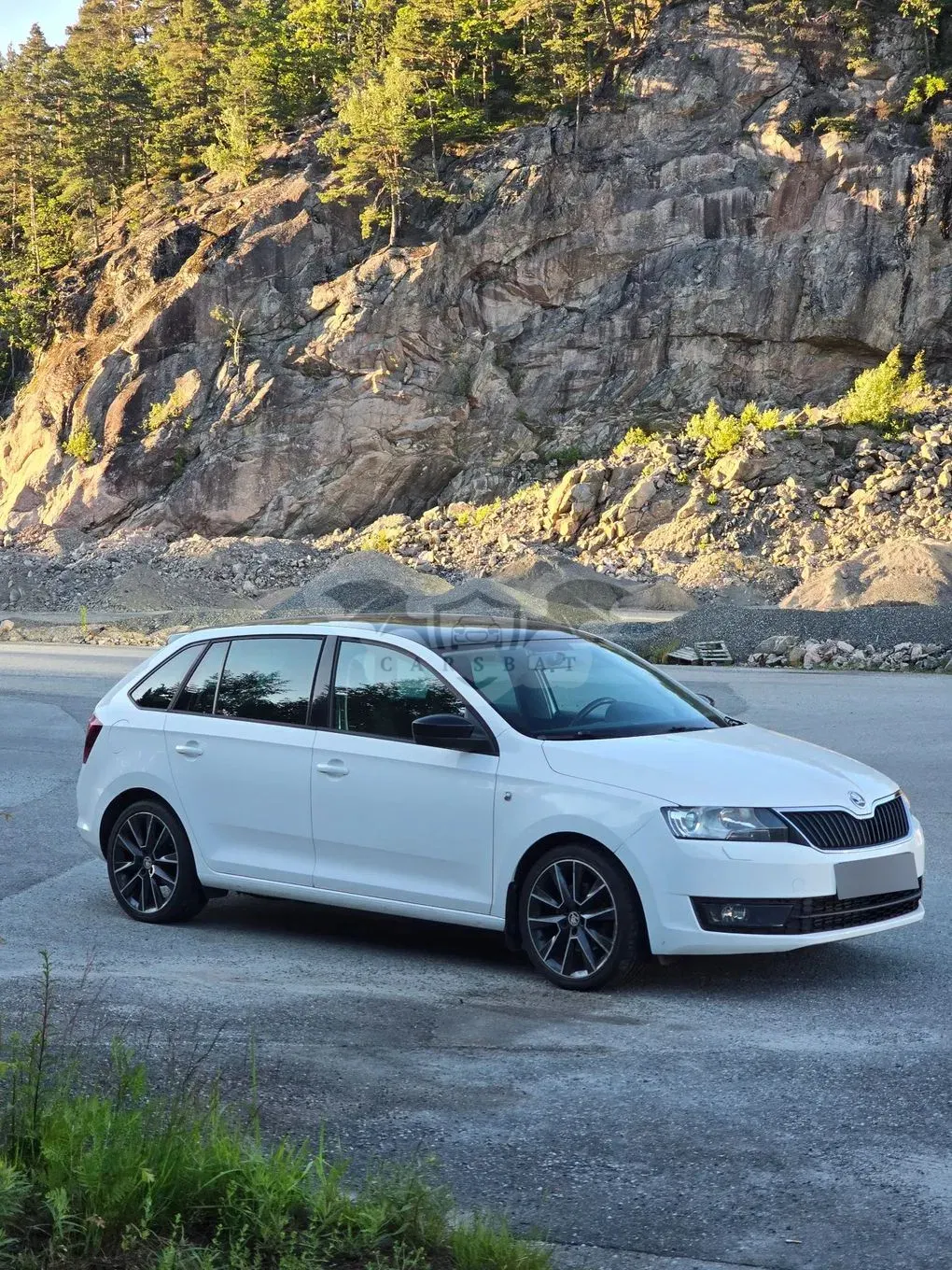 Skoda Rapid 2014