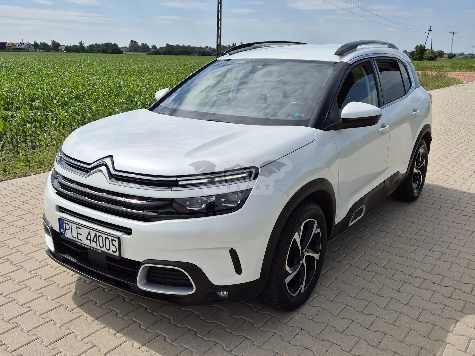 Citroën C5 Aircross 2019