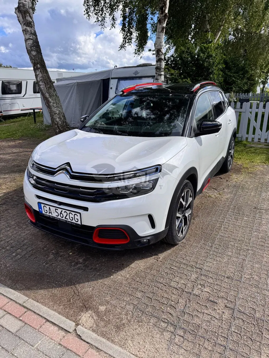 Citroën C5 Aircross BlueHDI 180 S&S EAT8 SHINE 2019