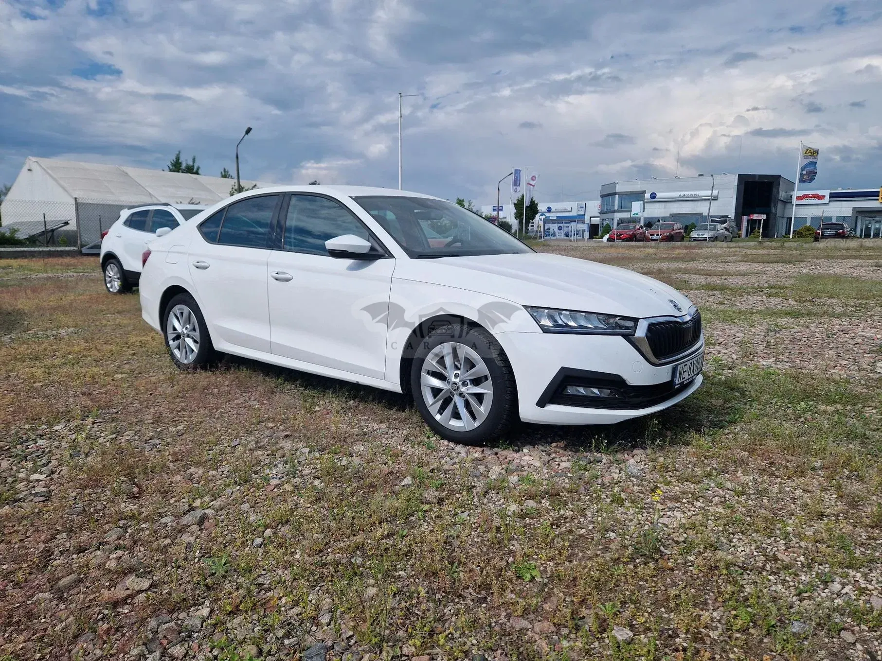 Skoda Octavia IV 2.0 TDI Ambition DSG 2023