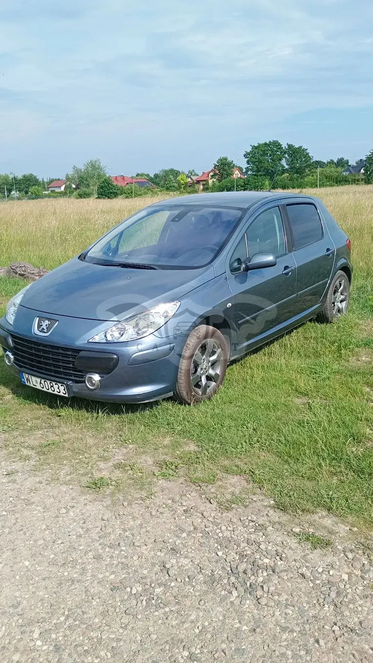Peugeot 307 II 1.6 Sporty (kla) 2006